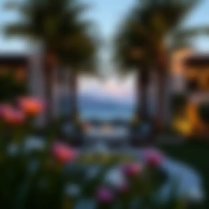 Exploring Palmilla Parkside: A Detailed Perspective Summary Exploring Palmilla Parkside: A Detailed Perspective Summary