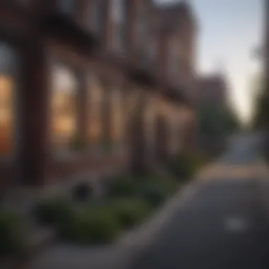 Overview of Pilsen neighborhood showcasing its character
