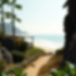 Exploring the Beach Barber Tract: An Insight into a Coastal Gem Introduction