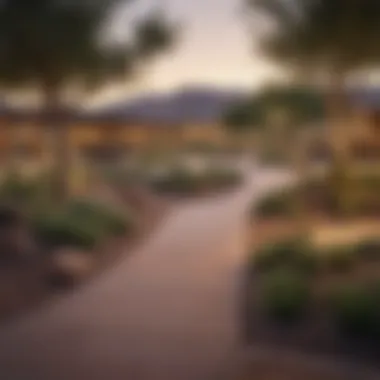 Community Park in a Suburban Arizona Neighborhood A vibrant community park in an Arizona suburb filled with families enjoying outdoor activities