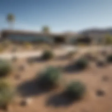 Modern Homes in Arizona's Desert Landscape A panoramic view of an Arizona neighborhood showcasing desert landscaping and modern homes