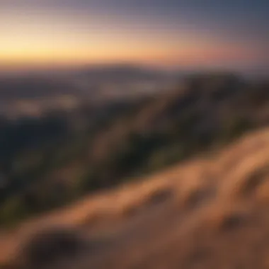A serene shot of Griffith Park offering panoramic views of the city skyline