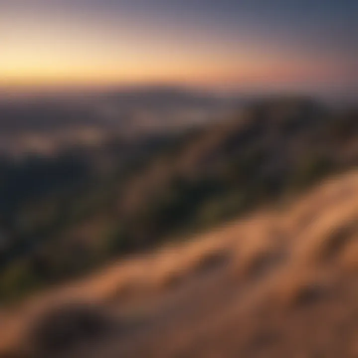 A serene shot of Griffith Park offering panoramic views of the city skyline