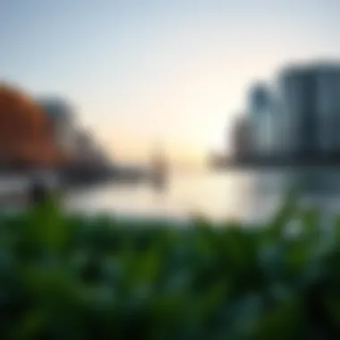 Scenic waterfront view in Lakeview highlighting recreational areas