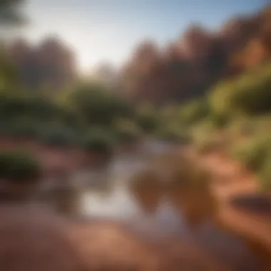 Sedona's Majestic Landscapes A panoramic view of Sedona's stunning natural beauty and red rocks