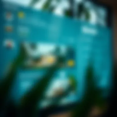 A digital interface displaying rental listings and user reviews