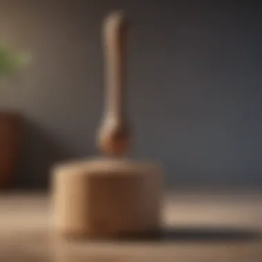 Sustainable Plunger for Eco-Conscious Homes Eco-friendly plunger with wooden handle