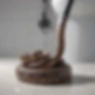 Plumber's Snake for Deep Cleaning Plumber's snake tool against a white background