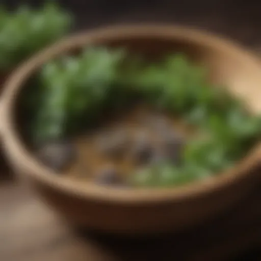 Aromatic herbs in a wooden bowl