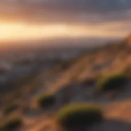 Scenic view of Baldwin Hills with skyline