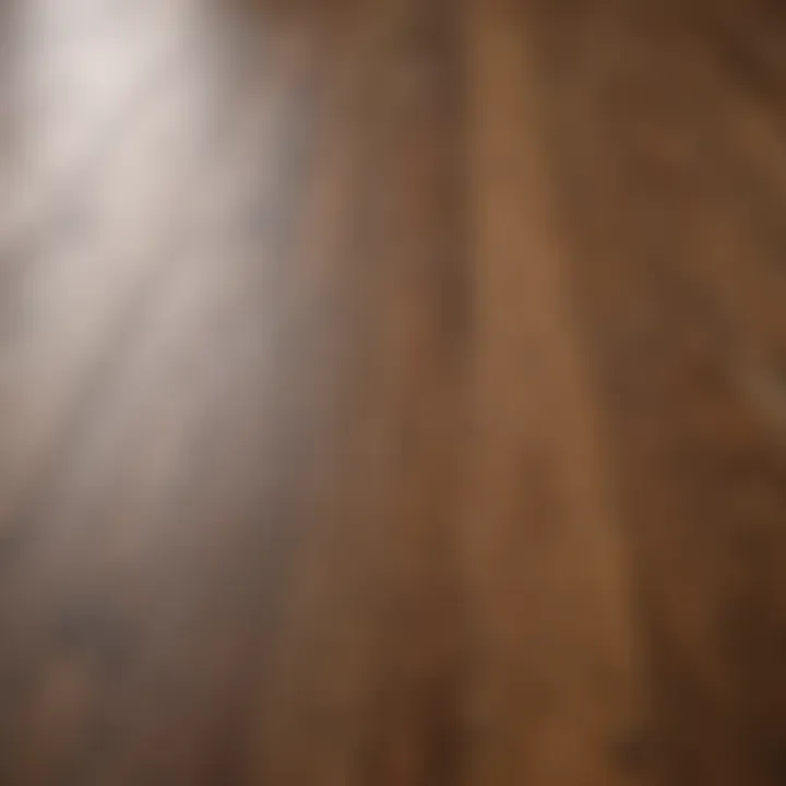 Close-up of laminate flooring showing its texture