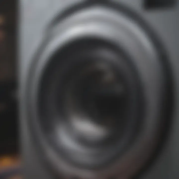 Close-up of washing machine gasket being cleaned.