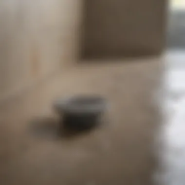 Common Causes of Shower Drain Clogs A clogged shower drain with visible hair and soap buildup