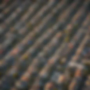Diverse Architecture in Los Angeles Suburbs Aerial view showcasing the diverse architecture of Los Angeles suburbs