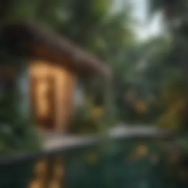 Tranquil Oasis in Coconut Grove Lush tropical garden in Coconut Grove