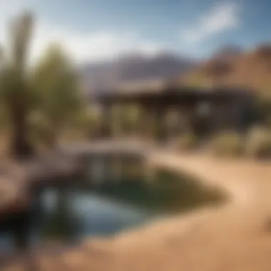 Tranquil Desert Oasis Majestic Desert Landscape in Phoenix Periphery