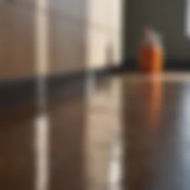 Close-up of specialized cleaning techniques on various surfaces
