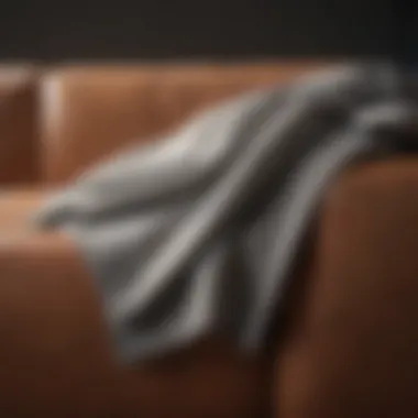 Utilizing Microfiber Cloth for Couch Disinfection Microfiber cloth cleaning couch