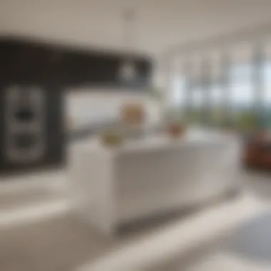 Modern High-End Kitchen Modern Kitchen with High-End Appliances in DC Apartment