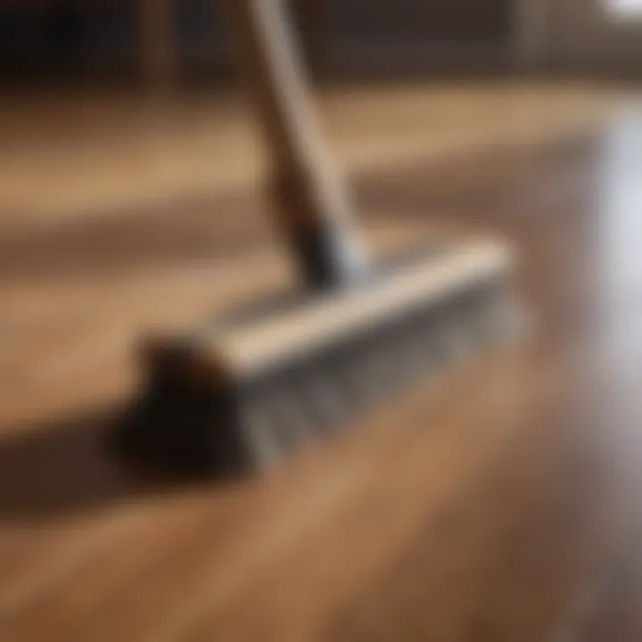 Natural bristle broom close-up