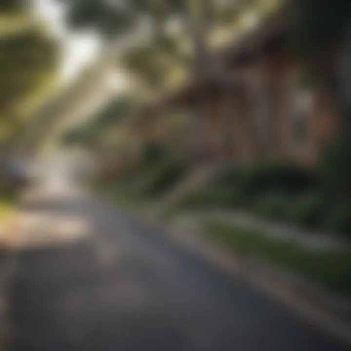 Charming street in a vibrant Austin neighborhood