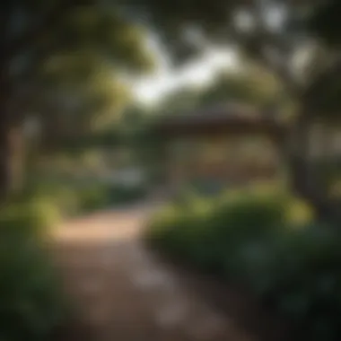 Lush park in one of Austin's popular districts