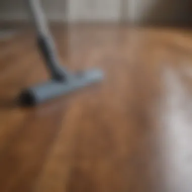 Collection of recommended cleaning tools for laminate floors