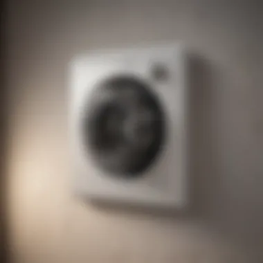 Maintaining Home Safety Safe home environment with clear flow dryer vent