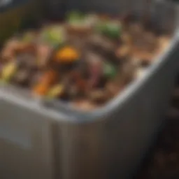 Organic materials in compost bin