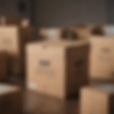 Organized labeled moving boxes