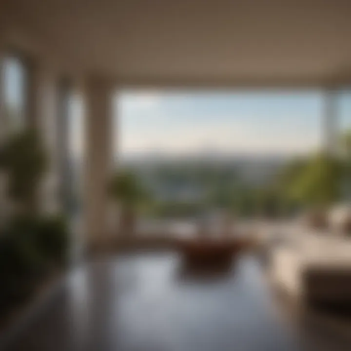 Panoramic View from Meridian Hill Park Apartments