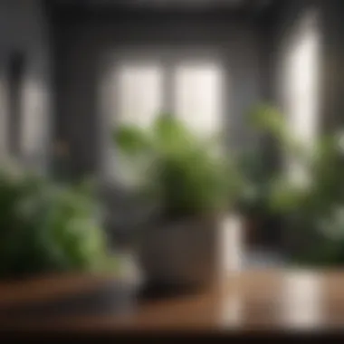 Indoor Plants for Aesthetic Appeal Lush indoor plants enhancing apartment aesthetics