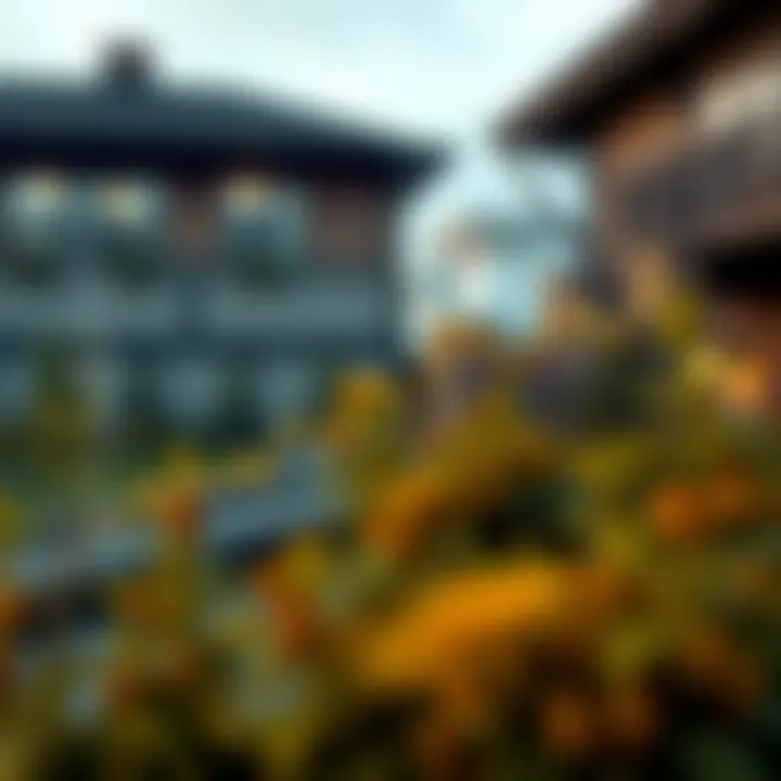 Graph depicting historical rent price trends in Portland