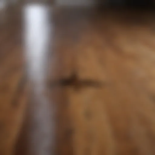 Wood floor with oil stain