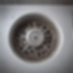 A close-up view of a bathroom drain showing various common clogs.