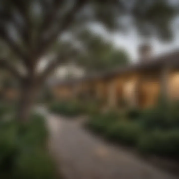 A serene neighborhood street in San Antonio with well-maintained homes and greenery.