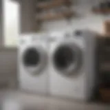 Eco-Friendly Washer Machine Cleaner