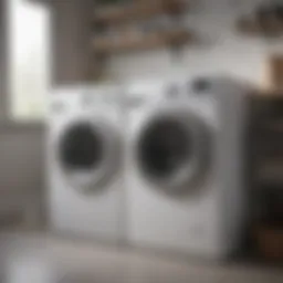 Eco-Friendly Washer Machine Cleaner