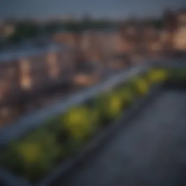 Scenic Rooftop View of Brighton Park Neighborhood