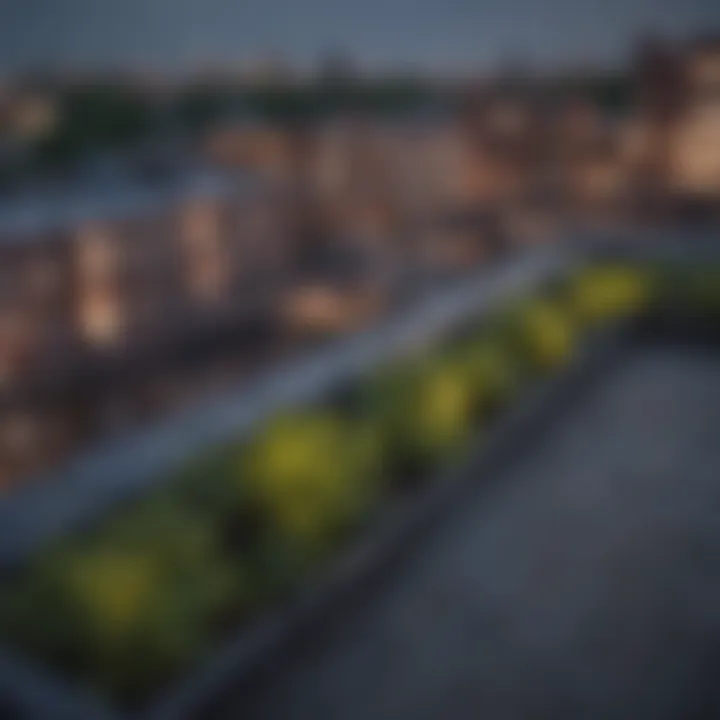 Scenic Rooftop View of Brighton Park Neighborhood