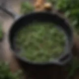 Well-oiled cast iron skillet with aromatic herbs