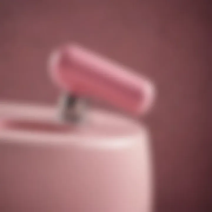 Close-up of Sleek Pink Plunger Handle