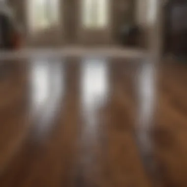 Maintenance Tips for Stained Hardwood Floors