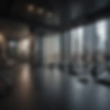 Fitness Redefined State-of-the-Art Fitness Center at The Max Apartment in NYC