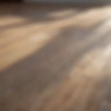 Pristine laminate floor reflecting sunlight