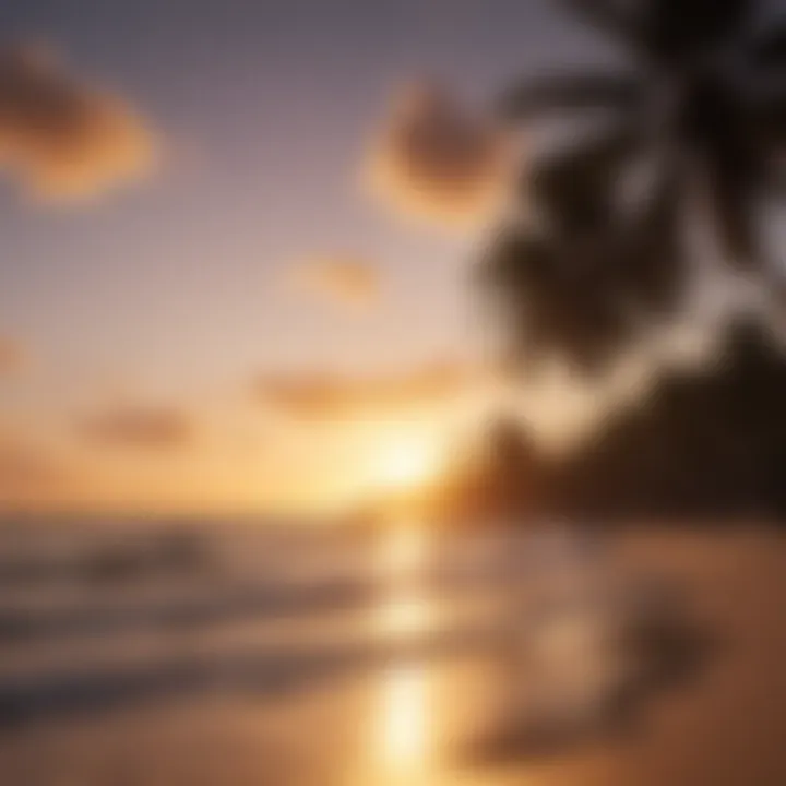 Sunset over a tranquil beach with palm trees swaying in the breeze