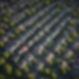 Aerial view showcasing Portland's diverse neighborhoods