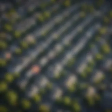 Exploring Portland's Neighborhood Diversity Aerial view showcasing Portland's diverse neighborhoods
