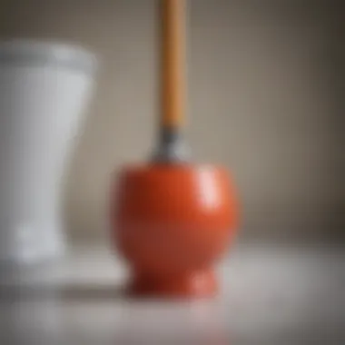 Effective Use of Toilet Plunger Toilet plunger in action