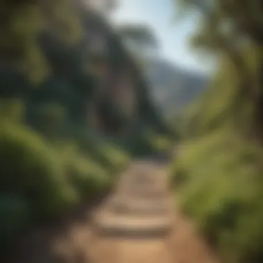 Lush greenery and hiking trails in the nature-filled suburb of Topanga Canyon